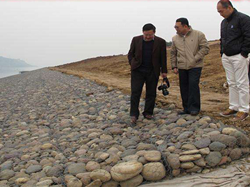 高爾凡雷諾護(hù)墊