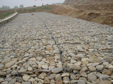 高爾凡雷諾護(hù)墊